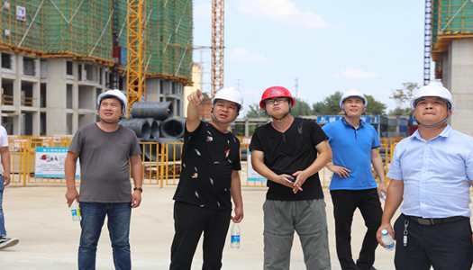 问鼎网页版入口董事会巡检圆满完成